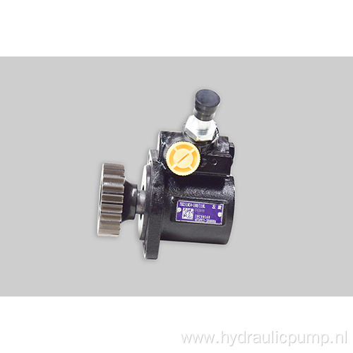 YBZ5 Series Vane Steering Pump